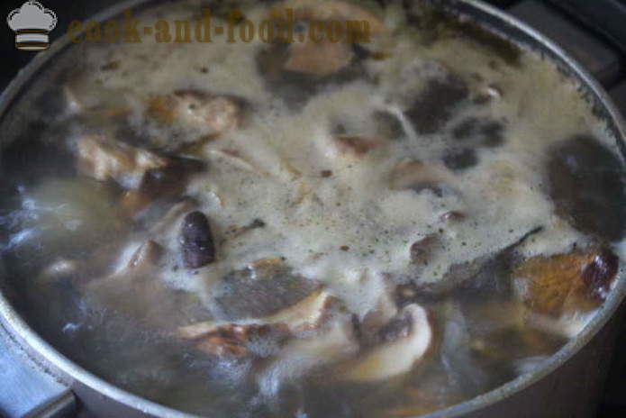 Zakarpattia suppe av hvite sopp - hvordan du koker suppe med hvite sopp velsmakende, med en trinnvis oppskrift bilder