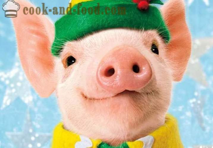 Hva å forberede for det nye året 2019 Year of the Pig - nyttårsmeny på Year of the Pig, eller villsvin, oppskrifter med bilder