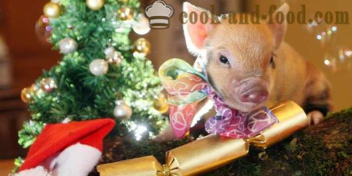 Enkle oppskrifter på nyttårs 2019- hva du skal lage til nyttår 2019 Year of the Pig (villsvin)