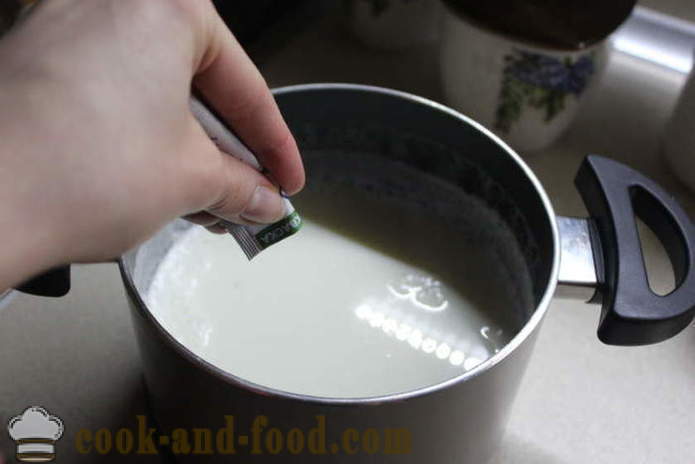 Hjemmelaget yoghurt fra melk å gjære - hvordan å lage yoghurt hjemme, trinnvis oppskrift bilder