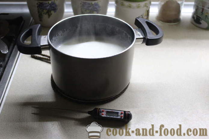 Hjemmelaget yoghurt fra melk å gjære - hvordan å lage yoghurt hjemme, trinnvis oppskrift bilder