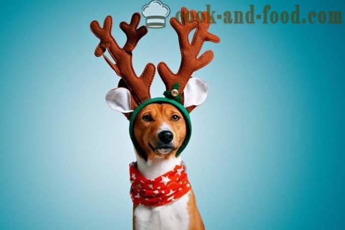 De beste virtuelle postkort for det nye året 2018 - Year of the Dog