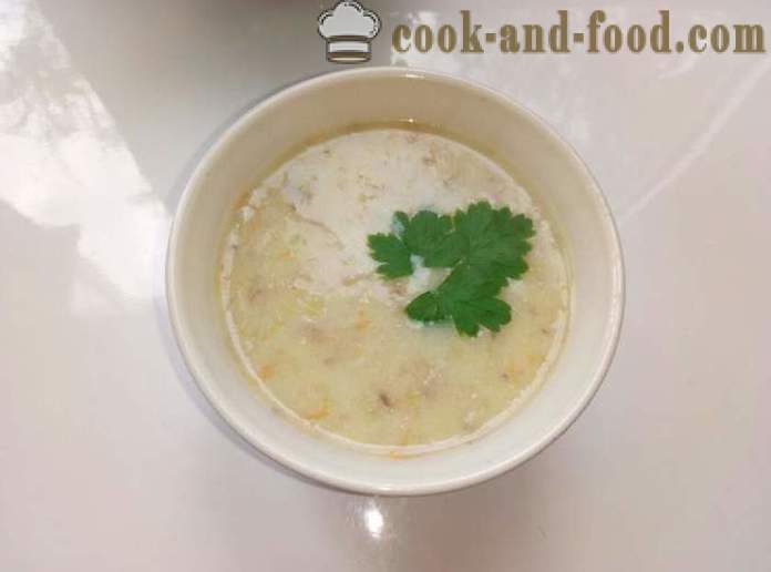 Soppsuppe i Carpathian - hvordan å lage mat sopp yushku sopp, steg for steg oppskrift bilder