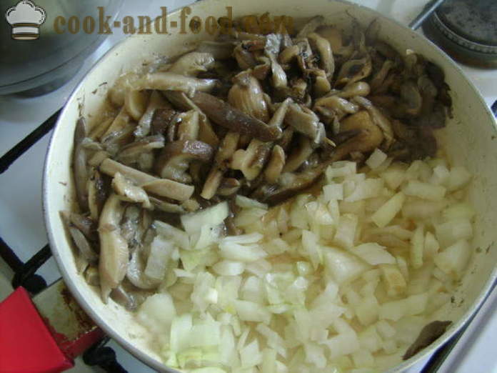 Meatless late kål ruller i ovnen - hvordan å lage en deilig lat kål ruller i ovnen, med en trinnvis oppskrift bilder