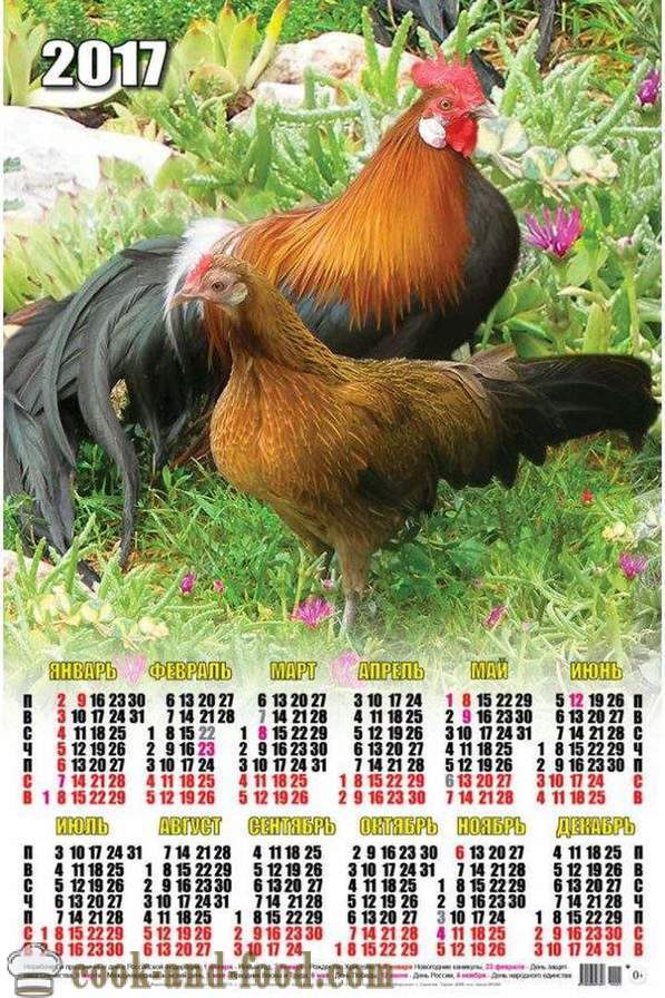 Kalender for 2017 år av Rooster: laste ned gratis julekalender med kuker