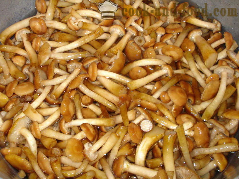 Mushroom spawn - hvordan å lage mat sopp gyte av kokt sopp, trinnvis oppskrift bilder