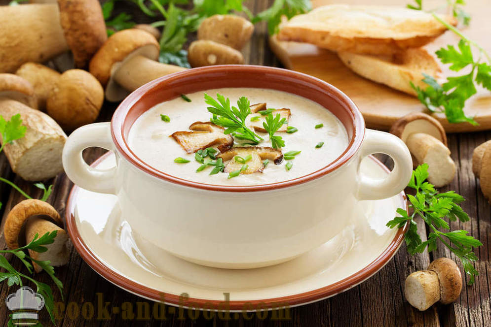 Hvit soppsuppe: to oppskrifter på deilige retter