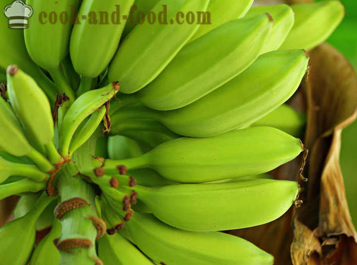 Banana: afrikansk og asiatisk dessert suppe - video oppskrifter hjemme