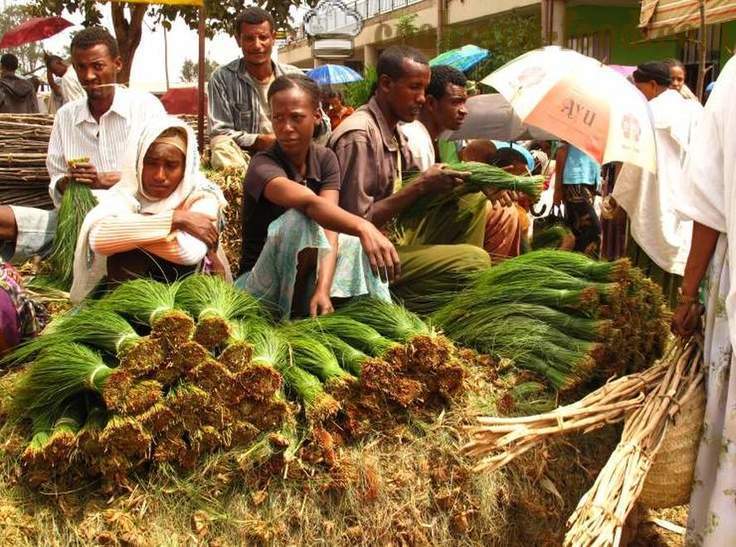 Injera brød i stedet for et kjøkken Etiopia - video oppskrifter hjemme